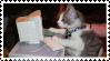 gif of a cat typing on their computer (literaly me fr fr)